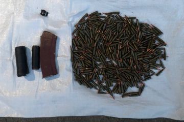 Мешканця столиці викрито на продажі зброї та боєприпасів Мешканця столиці викрито на продажі зброї та боєприпасів