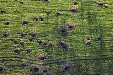 Близько третини українських земель постраждали від війни Близько третини українських земель постраждали від війни