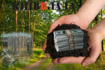 Корупційні схеми: на Ірпінщині розслідують розкрадання лісових угідь Корупційні схеми: на Ірпінщині розслідують розкрадання лісових угідь