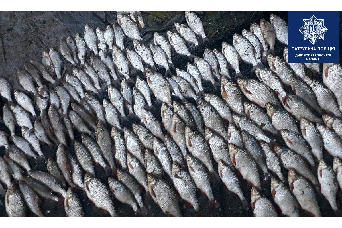 На Шевському острові поліція затримала браконьєрів з рибою та наркотиками