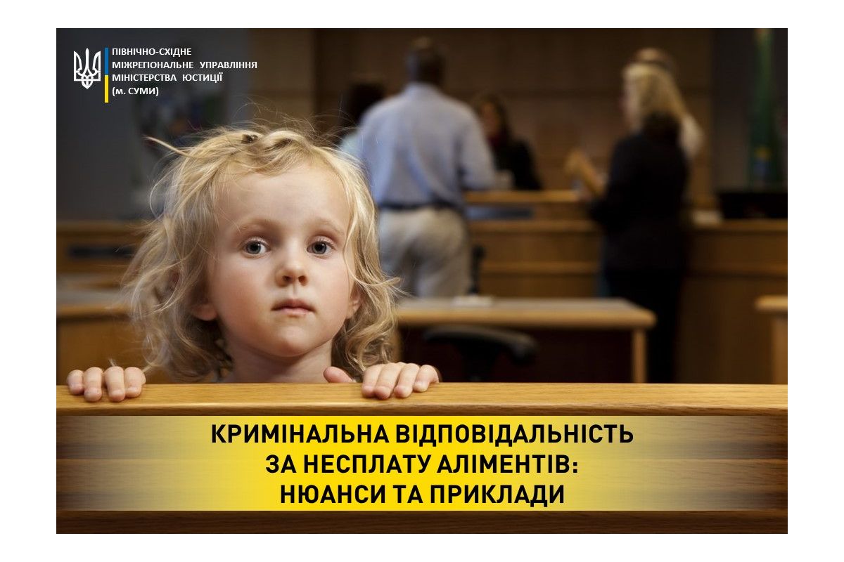 Кримінальна відповідальність за несплату аліментів: нюанси та приклади Кримінальна відповідальність за несплату аліментів: нюанси та приклади