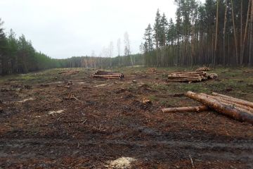 ВИРУБКА ЛІСІВ В УКРАЇНІ – ПРОГРАМА НА ЗНИЩЕННЯ ЛЮДСТВА    ВИРУБКА ЛІСІВ В УКРАЇНІ – ПРОГРАМА НА ЗНИЩЕННЯ ЛЮДСТВА