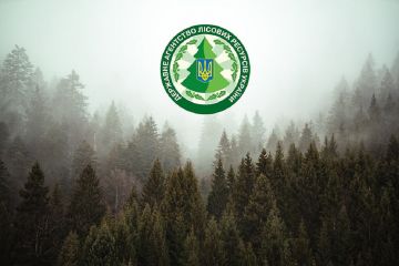 Держлісагентство купило у дружини екс-губернатора Житомирщини пікапів Mitsubishi на 37 мільйонів Держлісагентство купило у дружини екс-губернатора Житомирщини пікапів Mitsubishi на 37 мільйонів