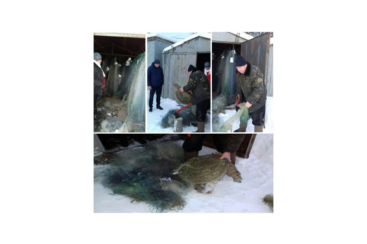З початку року знищено 1 148 заборонених знарядь лову, - Чернігівський рибоохоронний патруль З початку року знищено 1 148 заборонених знарядь лову, - Чернігівський рибоохоронний патруль