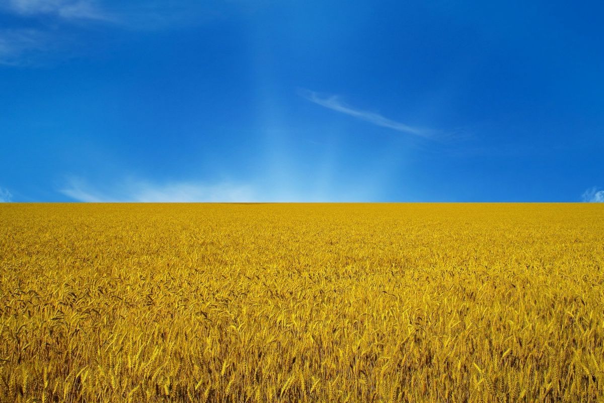 Неймовірний крок вперед: Україна піднялась на 14 позицій в рейтингу розвитку людини Неймовірний крок вперед: Україна піднялась на 14 позицій в рейтингу розвитку людини