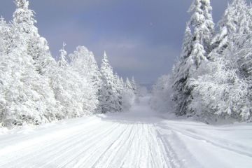 Якою буде зима 2021 року? Якою буде зима 2021 року?