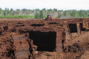 Олег Анцута из «Подилляторф» погряз в коррупции. Директора тернопольского госпредприятия осудили за незаконную продажу торфа Олег Анцута из «Подилляторф» погряз в коррупции. Директора тернопольского госпредприятия осудили за незаконную продажу торфа