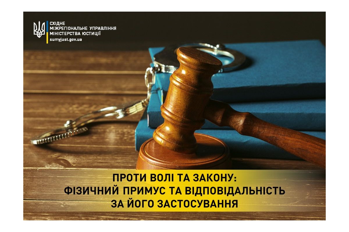 Проти волі та закону: фізичний примус та відповідальність за його застосування Проти волі та закону: фізичний примус та відповідальність за його застосування