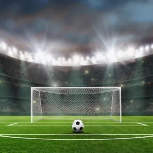 ​Чемпіонат Європи з футболу у 2024 році буде проведено з урахуванням екологічних стандартів