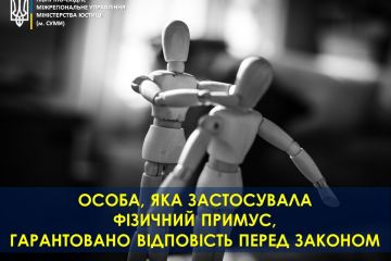 Особа, яка застосувала фізичний примус, гарантовано відповість перед законом Особа, яка застосувала фізичний примус, гарантовано відповість перед законом