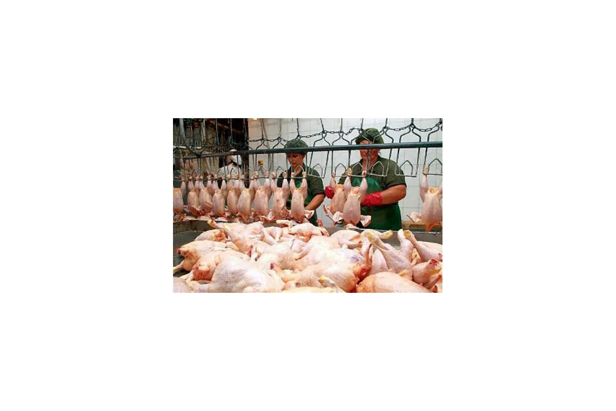Підписана угода з ЄС про збільшення квот для українських експортерів м'яса птиці