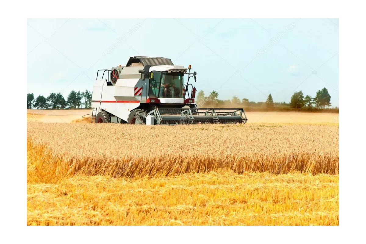 Жнива-2019: В Україні зібрано майже 40 млн тонн зерна