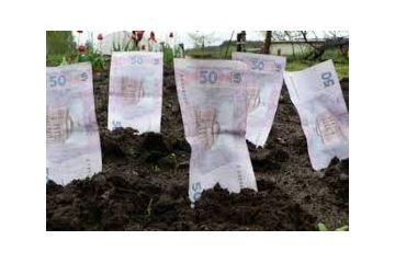 На Вінниччині прокуратура встановила факт самовільного зайняття фермерським господарством земельних ділянок сільськогосподарського призначення На Вінниччині прокуратура встановила факт самовільного зайняття фермерським господарством земельних ділянок сільськогосподарського призначення