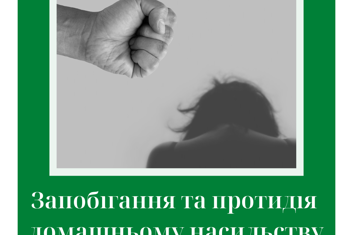 Запобігання та протидія домашньому насильству Запобігання та протидія домашньому насильству