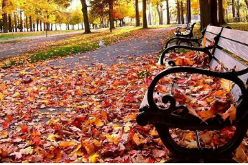 Гороскоп на 30 октября. Тельцам поберечь силы, Близнецам - свои козыри Гороскоп на 30 октября. Тельцам поберечь силы, Близнецам - свои козыри