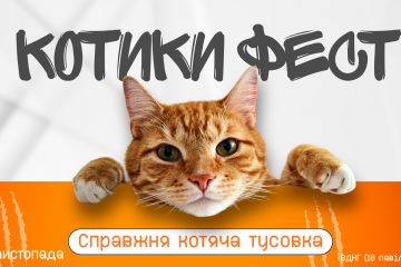 КОТИКИ ФЕСТ - наймуркотливіший фестиваль цієї осені КОТИКИ ФЕСТ - наймуркотливіший фестиваль цієї осені