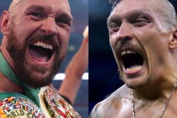 Фьюри угрожает дать пощечину Усику при встрече Фьюри угрожает дать пощечину Усику при встрече