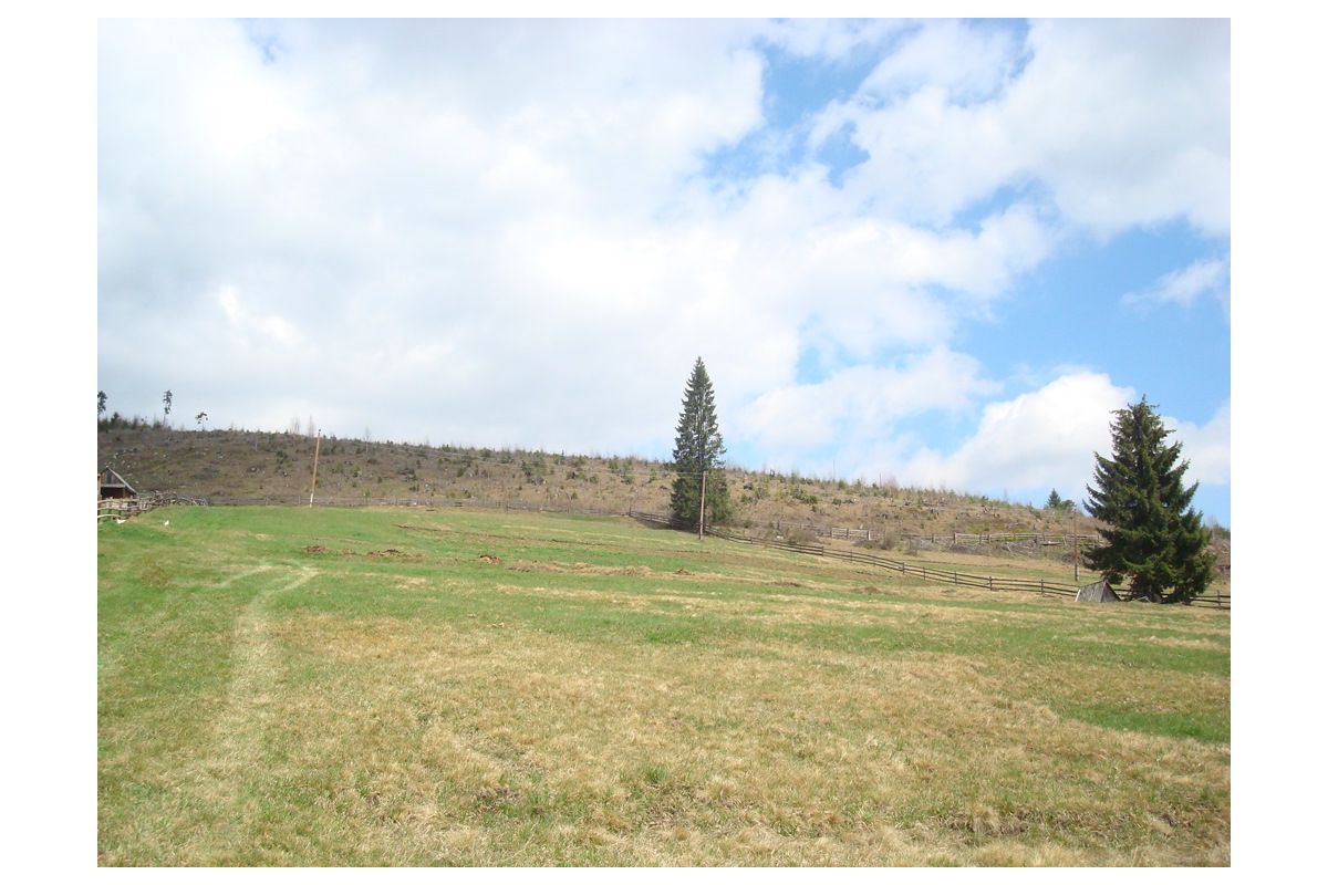 Прокуратура через суд вимагає від підприємця звільнити незаконно зайняту земельну ділянку природно-заповідного фонду Прокуратура через суд вимагає від підприємця звільнити незаконно зайняту земельну ділянку природно-заповідного фонду