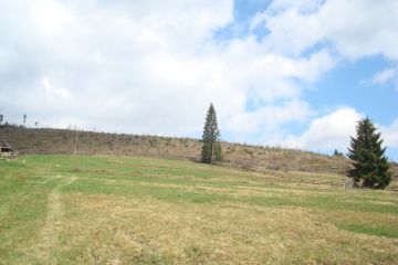 Прокуратура через суд вимагає від підприємця звільнити незаконно зайняту земельну ділянку природно-заповідного фонду Прокуратура через суд вимагає від підприємця звільнити незаконно зайняту земельну ділянку природно-заповідного фонду