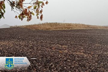 Кургани бронзової доби – попри бойові дії на Донеччині прокуратура захистила інтереси держави у сфері охорони археологічної спадщини  Кургани бронзової доби – попри бойові дії на Донеччині прокуратура захистила інтереси держави у сфері охорони археологічної спадщини