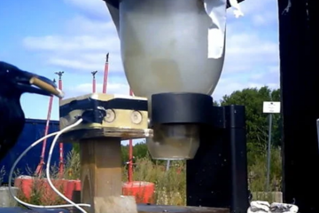 Ворони проти недопалків  Ворони проти недопалків