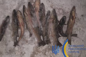 Незаконний вилов риби  Незаконний вилов риби