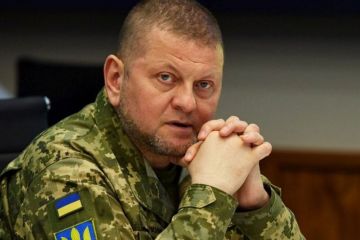 Відставка Залужного. Подивимось правді в очі: настав час зміни Відставка Залужного. Подивимось правді в очі: настав час зміни