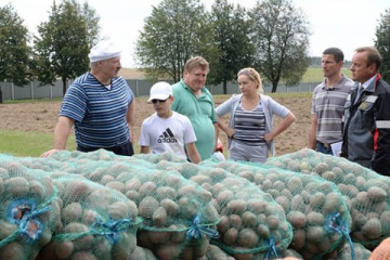 Лукашенко умудрился накопать 105 тонн картошки		   			Лукашенко умудрился накопать 105 тонн картошки