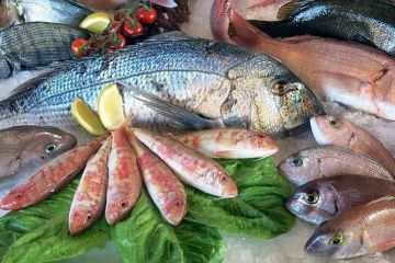 Рыба и коронавирус		   			Рыба и коронавирус