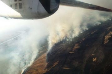 Під Одесою спалахнула масштабна пожежа: опубліковано фото і відео		   			Під Одесою спалахнула масштабна пожежа: опубліковано фото і відео