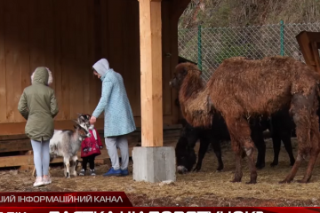 “Відбілювання” живодерів по-закарпатськи: уся правда про екопарк “Долина вовків”		   			“Відбілювання” живодерів по-закарпатськи: уся правда про екопарк “Долина вовків”