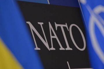 Украина в НАТО вступит раньше, чем в Евросоюз — вице-премьер		   			Украина в НАТО вступит раньше, чем в Евросоюз — вице-премьер