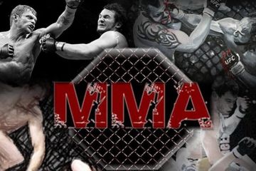 Смешанные боевые искусства в начале 2020 – что посмотреть? Смешанные боевые искусства в начале 2020 – что посмотреть?