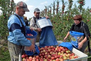 Польща змінює закони для заробітчан		   			Польща змінює закони для заробітчан