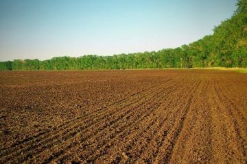 С заботой об общинах: смогут ли ОТГ купить землю после отмены моратория		   			С заботой об общинах: смогут ли ОТГ купить землю после отмены моратория