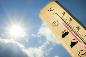 Июнь 2019 года стал самым жарким в мире за всю историю наблюдений		   			Июнь 2019 года стал самым жарким в мире за всю историю наблюдений