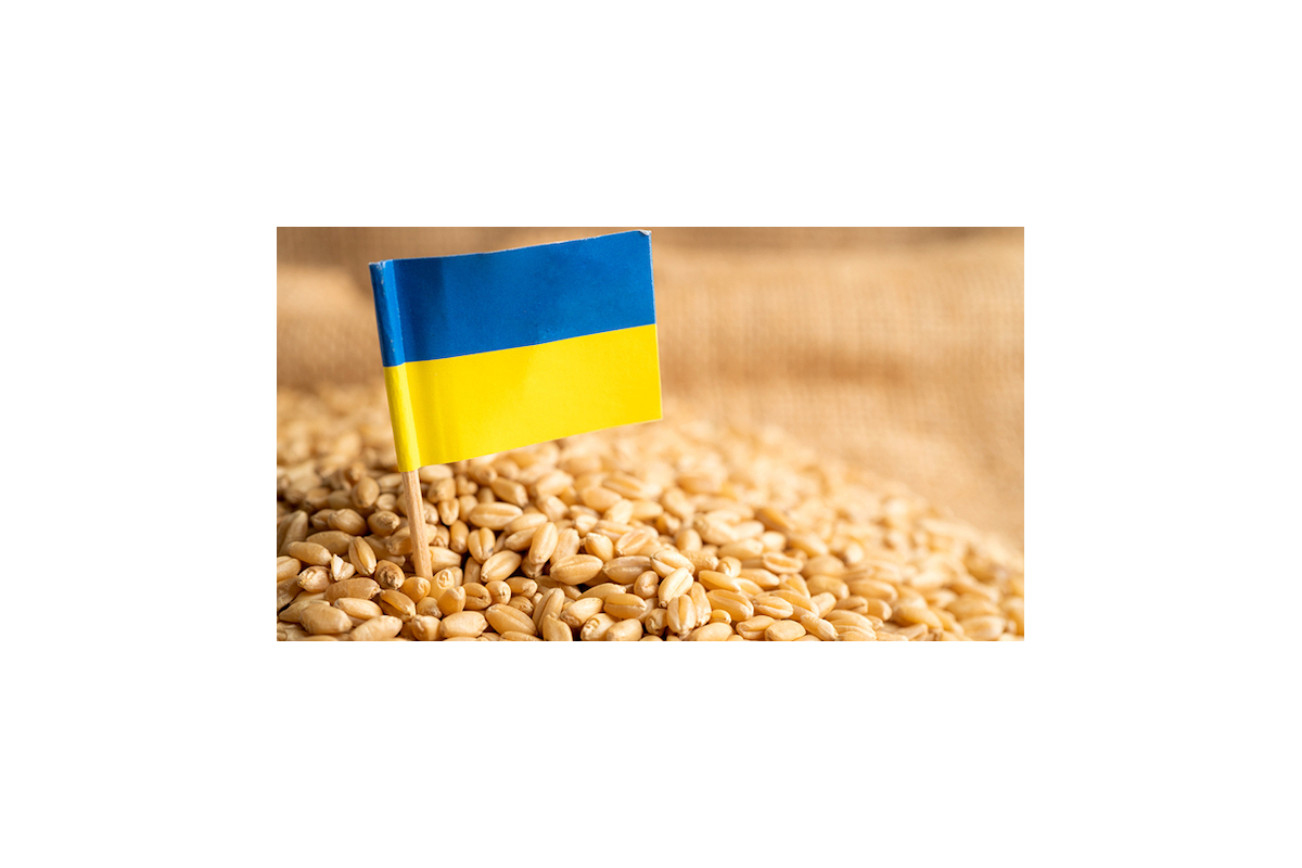 Угорщина попросила Європейський Союз продовжити обмеження на імпорт українських зернових і олійних культур до кінця 2023 року Угорщина попросила Європейський Союз продовжити обмеження на імпорт українських зернових і олійних культур до кінця 2023 року