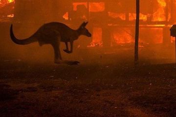 АВСТРАЛІЙСЬКА КАТАСТРОФА АВСТРАЛІЙСЬКА КАТАСТРОФА