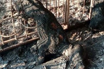 Рашисти обстріляли молочно-товарну ферму на Запоріжжі Рашисти обстріляли молочно-товарну ферму на Запоріжжі