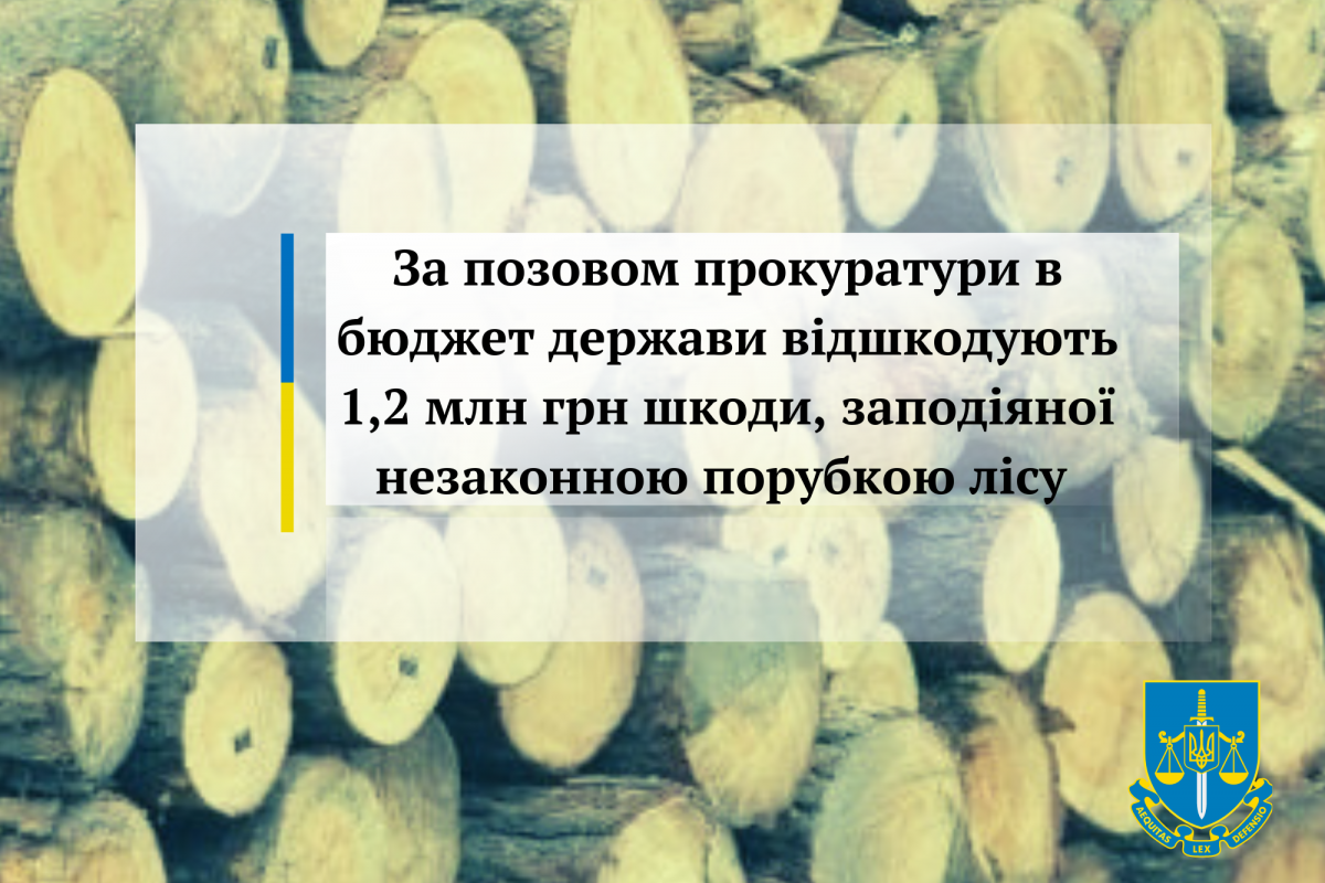 За позовом прокуратури в бюджет держави відшкодують 1,2 млн грн шкоди, заподіяної незаконною порубкою лісу