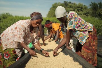 Світовий банк: нерівність в доходах між бідними країнами і розвиненими економіками стає все більш помітною Світовий банк: нерівність в доходах між бідними країнами і розвиненими економіками стає все більш помітною
