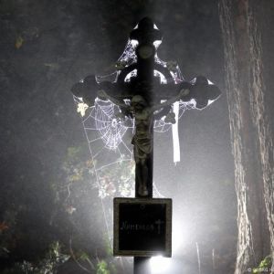 Уся правда про Гелловін Уся правда про Гелловін