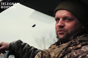 «Ми переможемо цього року, я в це вірю!» «Ми переможемо цього року, я в це вірю!»