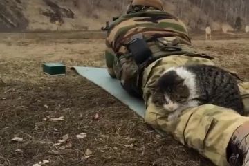 🐈 Cat battalion. Even Ukrainian cats are against Putin 🐈 Cat battalion. Even Ukrainian cats are against Putin