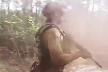 Д.О.З.О.Р. – 5 букв, за якими стоїть ціла історія Д.О.З.О.Р. – 5 букв, за якими стоїть ціла історія