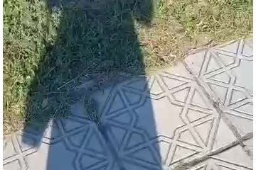 рускій мір "звільнив" звичайних людей від нормального життя рускій мір "звільнив" звичайних людей від нормального життя