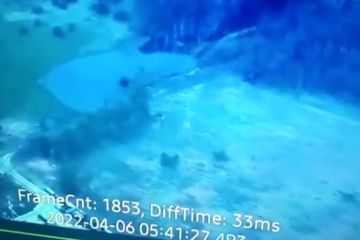 На Луганському напрямку підбили танк окупантів.  На Луганському напрямку підбили танк окупантів.