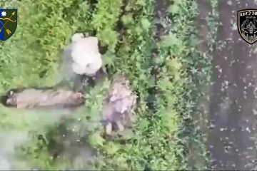 Пілоти батальйону «Жнець» 23 ОМБр знешкоджують окупантів Пілоти батальйону «Жнець» 23 ОМБр знешкоджують окупантів