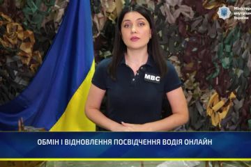 Відновити чи обміняти посвідчення водія знову можна онлайн, – МВС Відновити чи обміняти посвідчення водія знову можна онлайн, – МВС