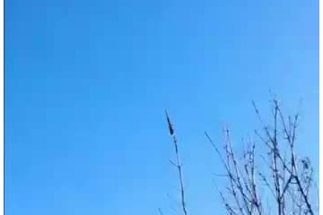 Знищено ворожий гелікоптер Ка-52 та БПЛА Орлан-10, який намагався здійснити розвідку наших позицій Знищено ворожий гелікоптер Ка-52 та БПЛА Орлан-10, який намагався здійснити розвідку наших позицій